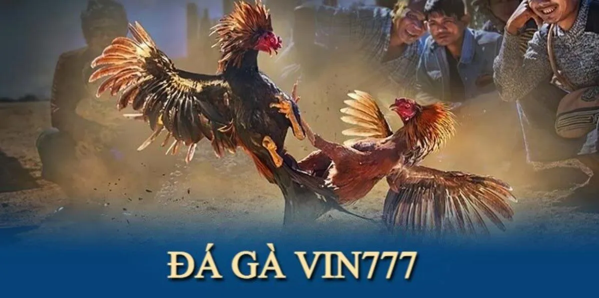Đá Gà Vin777
